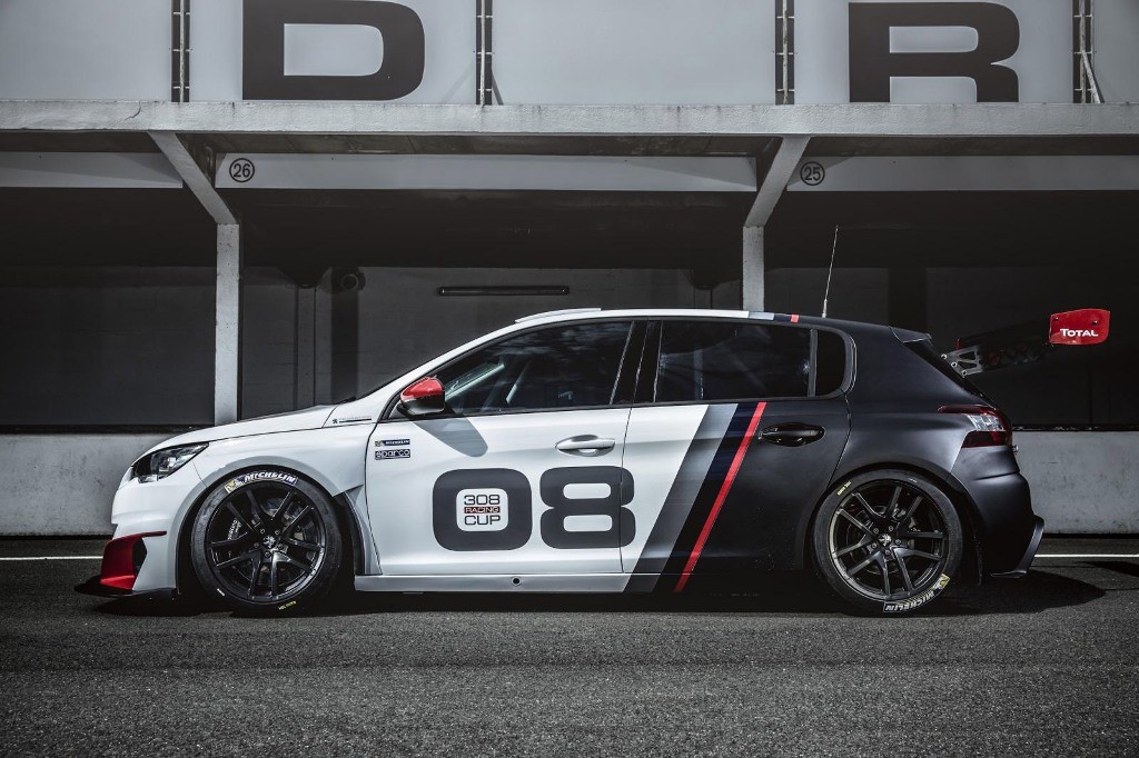 PEUGEOT 308 RACING CUP: NASCIDO PARA CORRER, foto 10