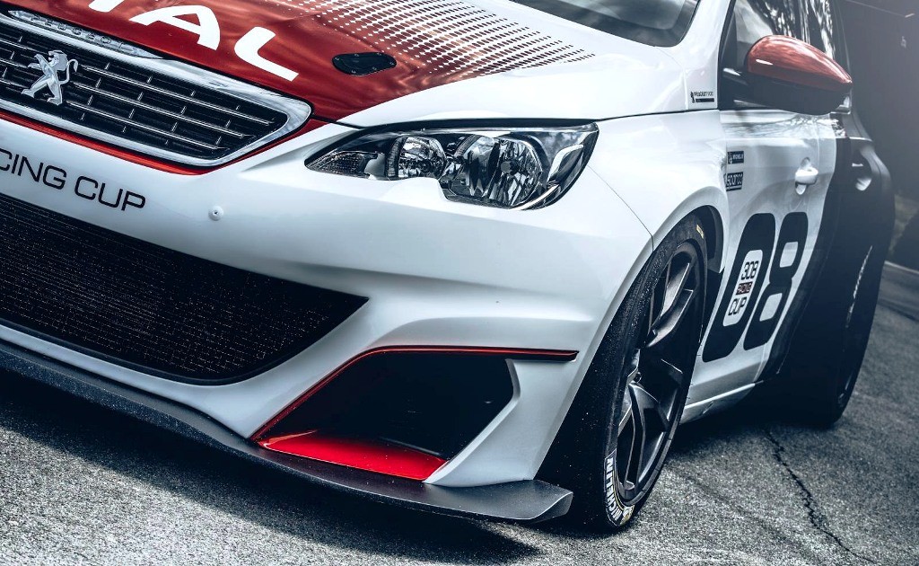 PEUGEOT 308 RACING CUP: NASCIDO PARA CORRER, foto 18