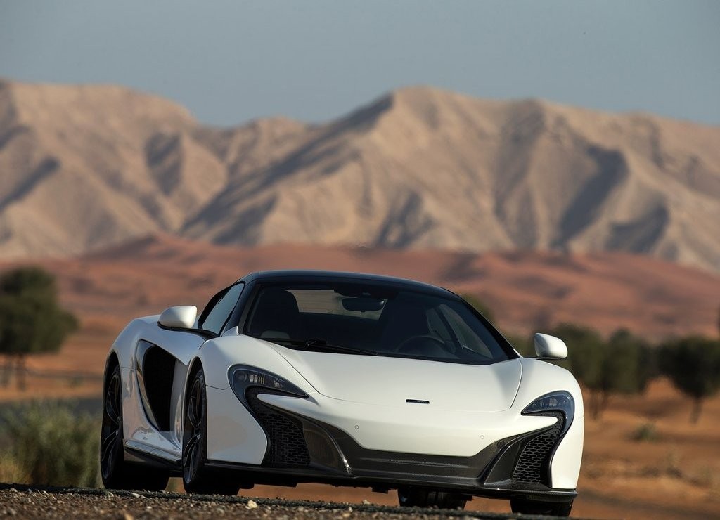 McLAREN APRESENTA EM DUBAI O 650S SPIDER AL SAHARA 79 BY MSO, foto 3