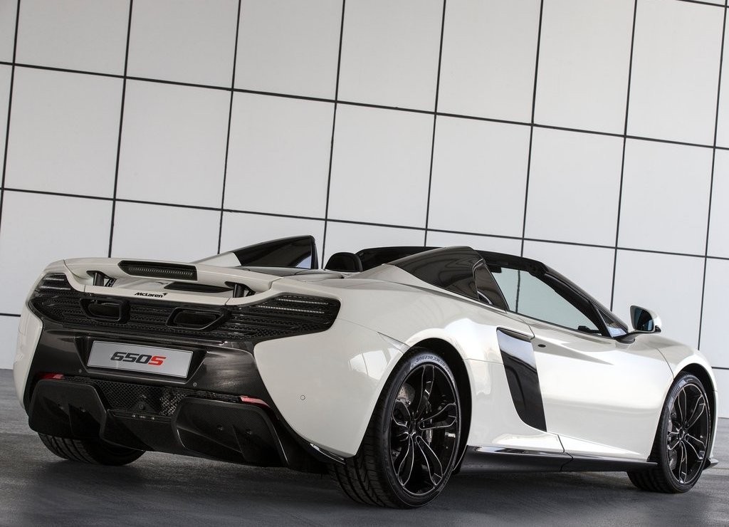 McLAREN APRESENTA EM DUBAI O 650S SPIDER AL SAHARA 79 BY MSO, foto 6