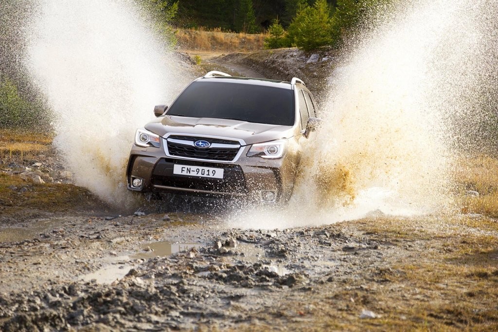 NOVA SUBARU FORESTER SURGE COM UMA NOVA IMAGEM E MAIOR QUALIDADE, foto 1