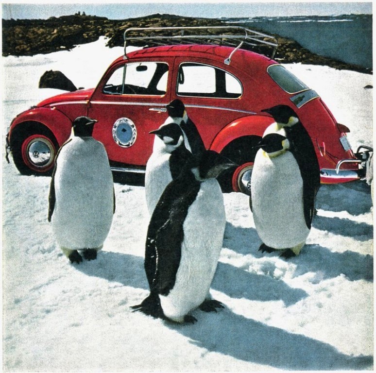 O FUSCA FOI O PRIMEIRO CARRO A CHEGAR À ANTÁRTIDA EM 1963, foto 7