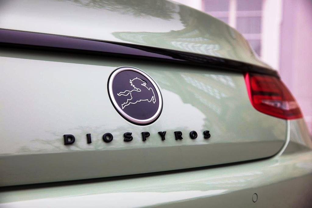 DIOSPYROS É O NOVO PROGRAMA DA CARLSSON PARA O MERCEDES-BENZ S CLASS CABRIOLET, foto 7