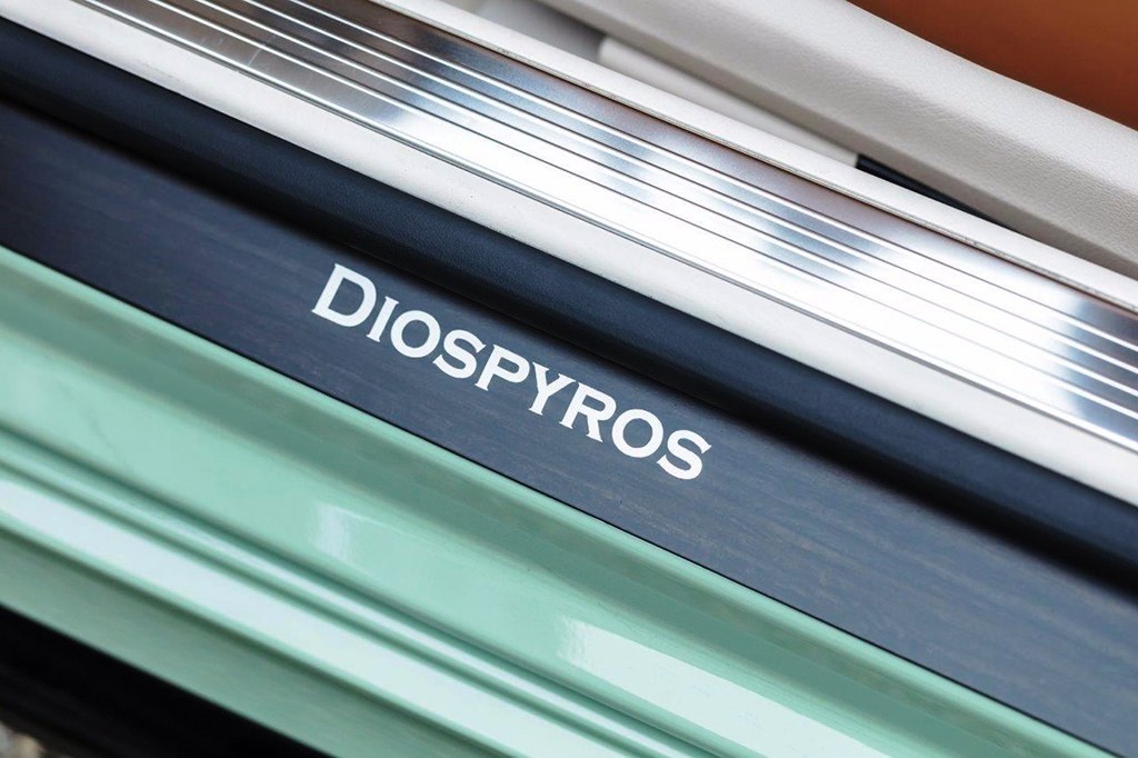 DIOSPYROS É O NOVO PROGRAMA DA CARLSSON PARA O MERCEDES-BENZ S CLASS CABRIOLET, foto 10