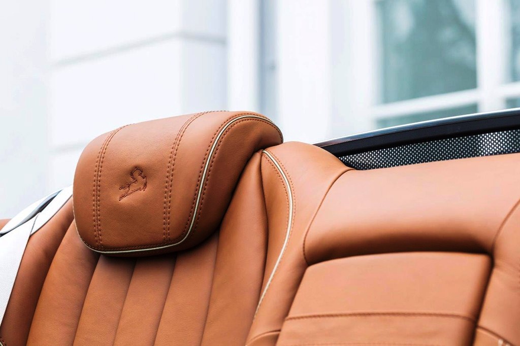 DIOSPYROS É O NOVO PROGRAMA DA CARLSSON PARA O MERCEDES-BENZ S CLASS CABRIOLET, foto 16