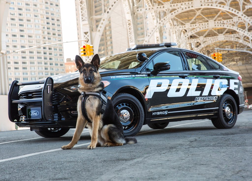 FORD DESENVOLVE NOVO VEÍCULO HÍBRIDO PARA A POLÍCIA DOS ESTADOS UNIDOS, foto 5