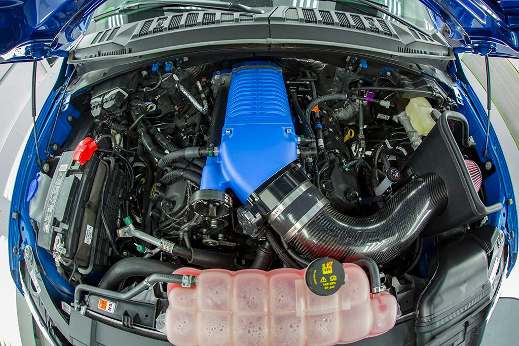 FORD F-150 SHELBY SUPER SNAKE: EDIÇÃO LIMITADA CHEGA MAIS RADICAL E COM 760 CV, foto 3