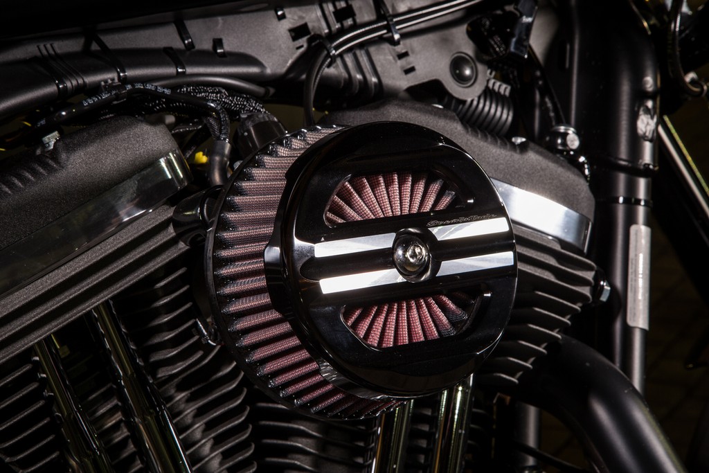 HARLEY-DAVIDSON DO BRASIL APRESENTA CUSTOMIZAÇÃO ESPECIAL CAFÉ RACER PARA A SPORTSTER ROADSTER, foto 4