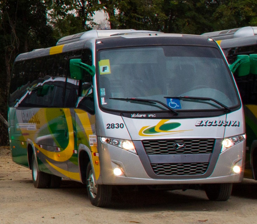 VOLARE W9 E DW9 AMPLIAM PRESENÇA DA MARCA EM CAMPINAS E REGIÃO, foto 2