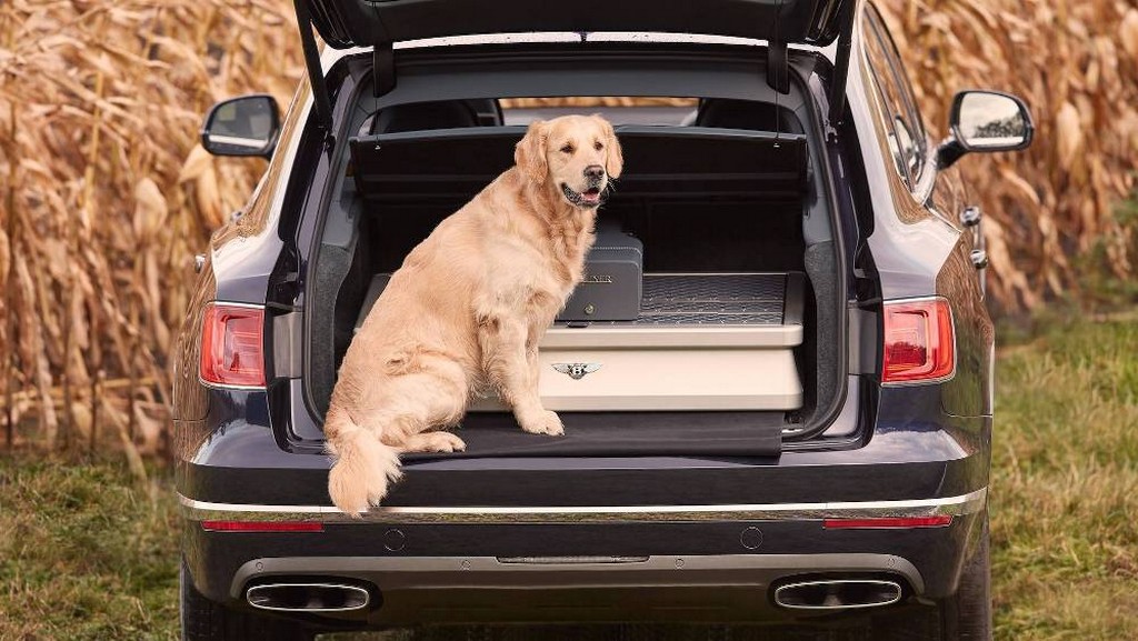 BENTLEY BENTAYGA FIELD SPORTS BY MULLINER: UMA EDIÇÃO ESPECIAL AOS AFICIONADOS PELA CAÇA, foto 7