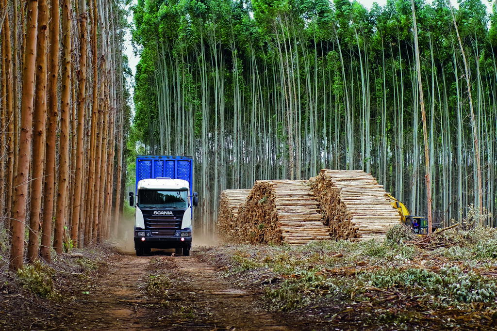 SCANIA LEVA À EXPOFOREST AS MELHORES SOLUÇÕES DE TRANSPORTE PARA O SEGMENTO MADEIREIRO, foto 1