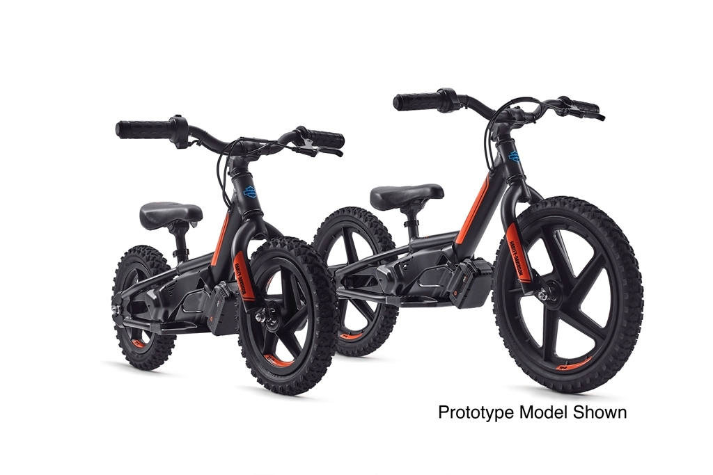 HARLEY-DAVIDSON MOSTRA LIVEWIRE E CONCEITOS ELÉTRICOS NO SALÃO DE GENEBRA 2019, foto 5