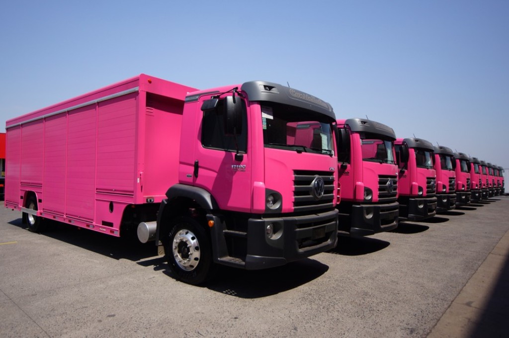 VW CONSTELLATION EMBARCA PARA A COLÔMBIA COM PINTURA ROSA DE FÁBRICA, foto 1