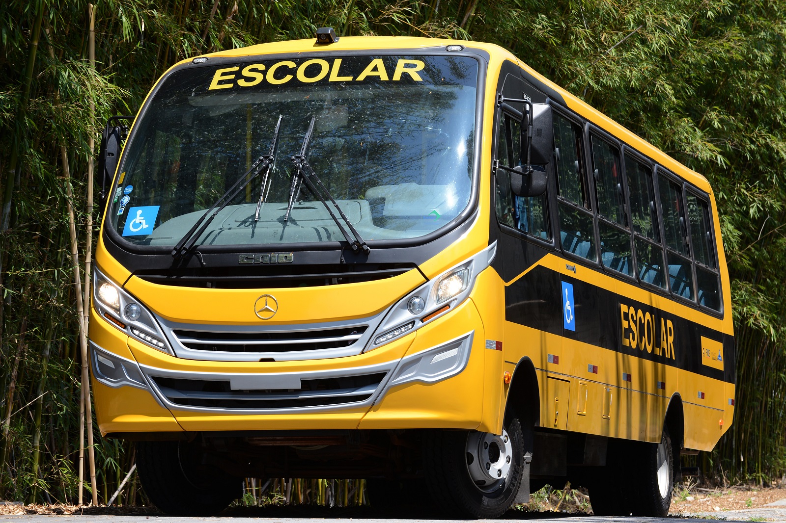 MUNICÍPIOS PAULISTAS RECEBEM 168 ÔNIBUS ESCOLARES MERCEDES-BENZ, foto 2