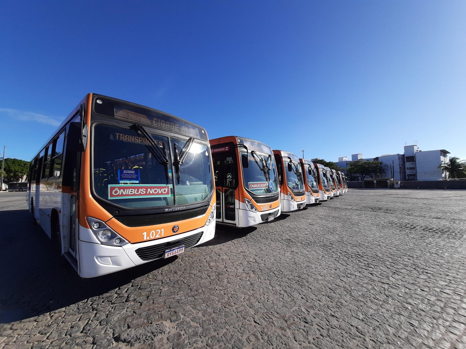 CIDADE ALTA ADQUIRE 32 VOLKSBUS PARA GANHO OPERACIONAL, foto 1