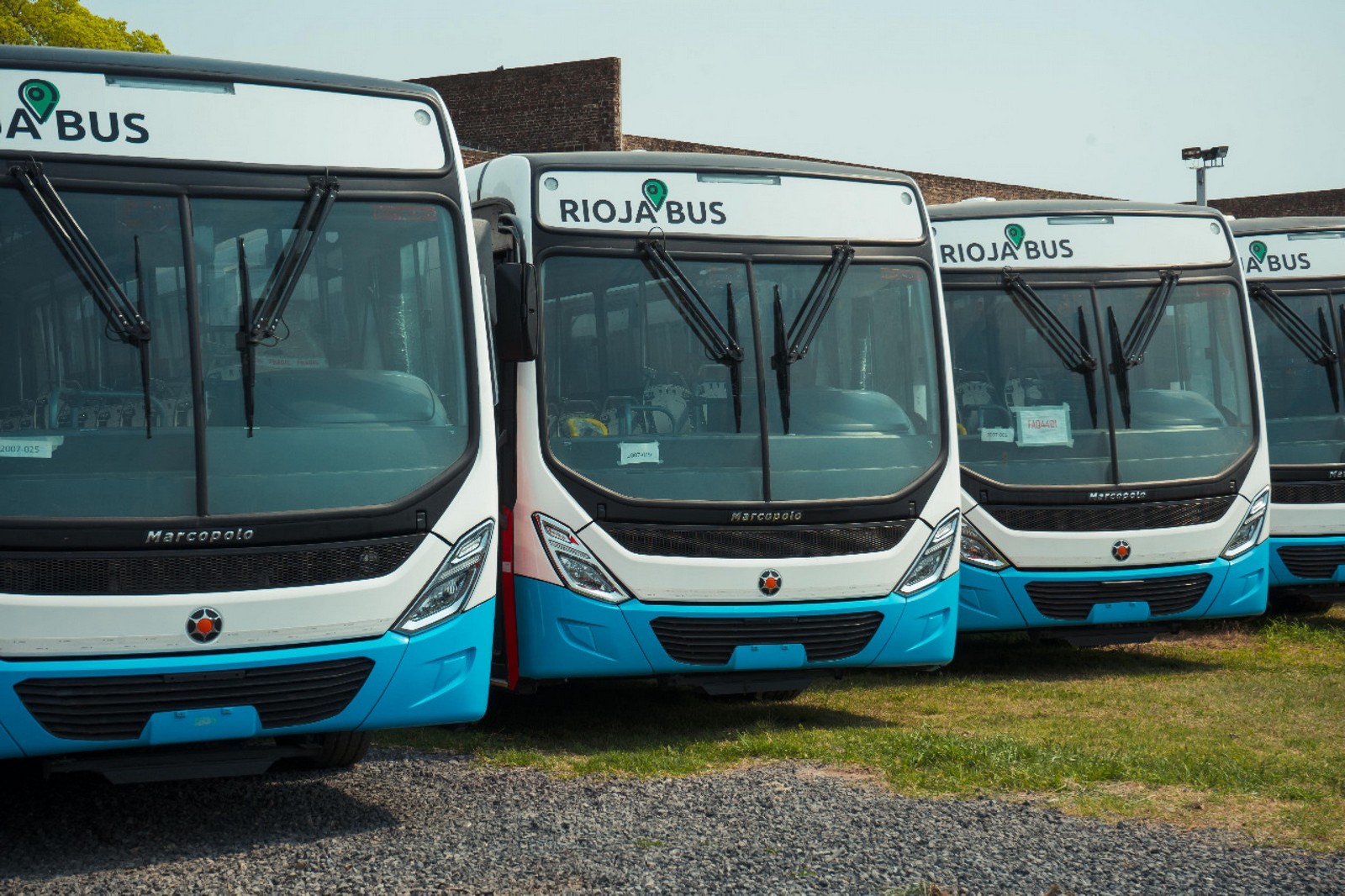 ÔNIBUS VW MODERNIZA FROTA ARGENTINA DE TRANSPORTE PÚBLICO, foto 3