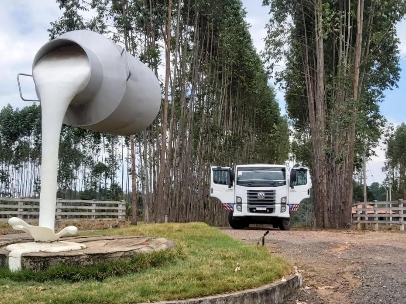 CAMINHÕES VOLKSWAGEN MOVIMENTAM PECUÁRIA BOVINA EM RONDÔNIA, foto 4