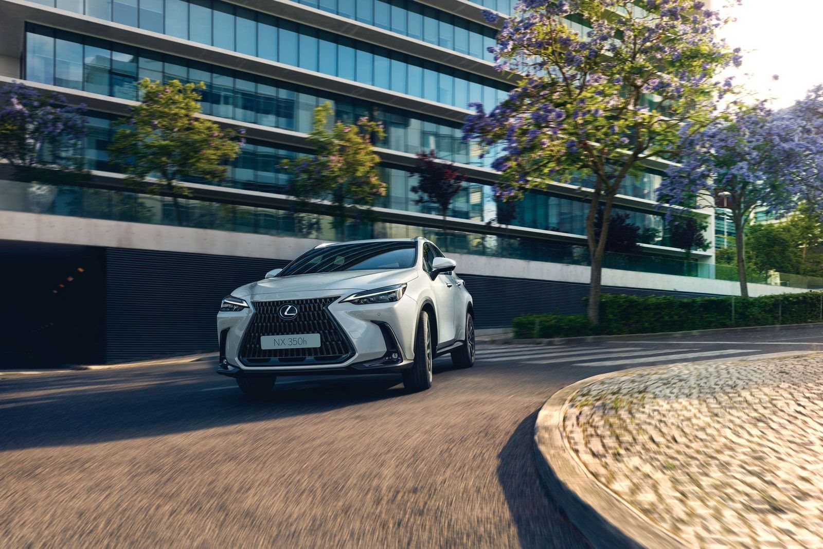 LEXUS APRESENTA O CONCEITO TAZUNA NO HABITÁCULO DO NOVO NX, foto 3