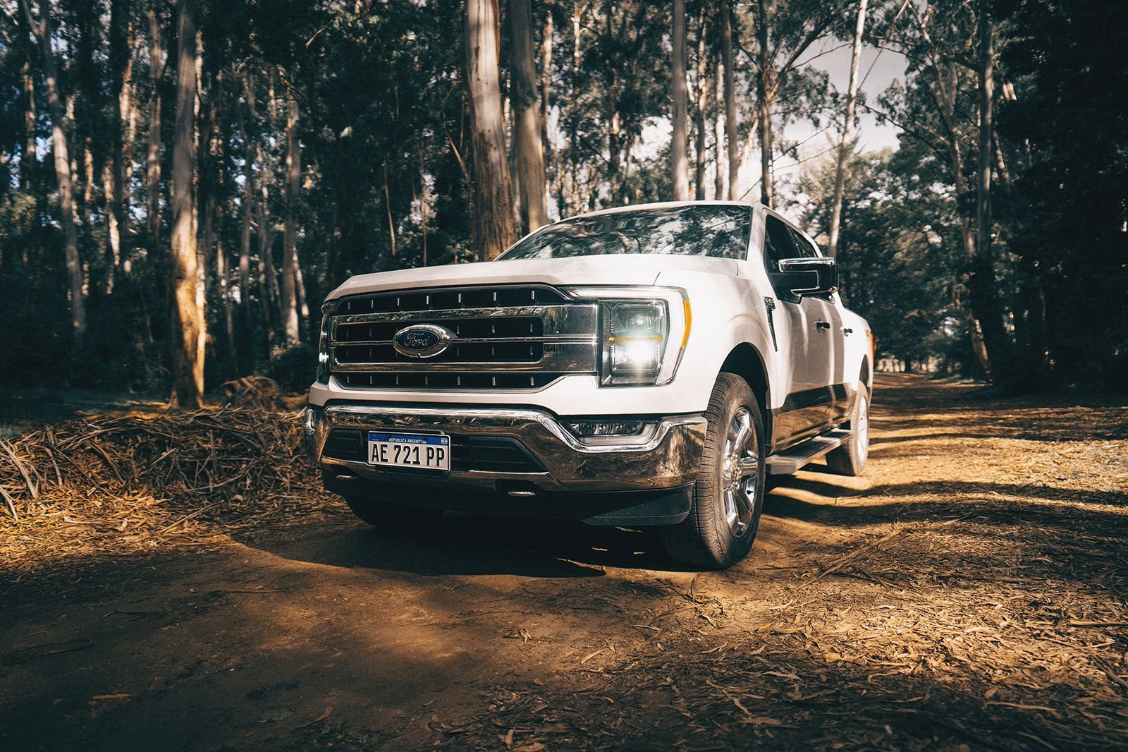 FORD ANUNCIA O LANÇAMENTO DA F-150 NO BRASIL EM 2023, foto 2