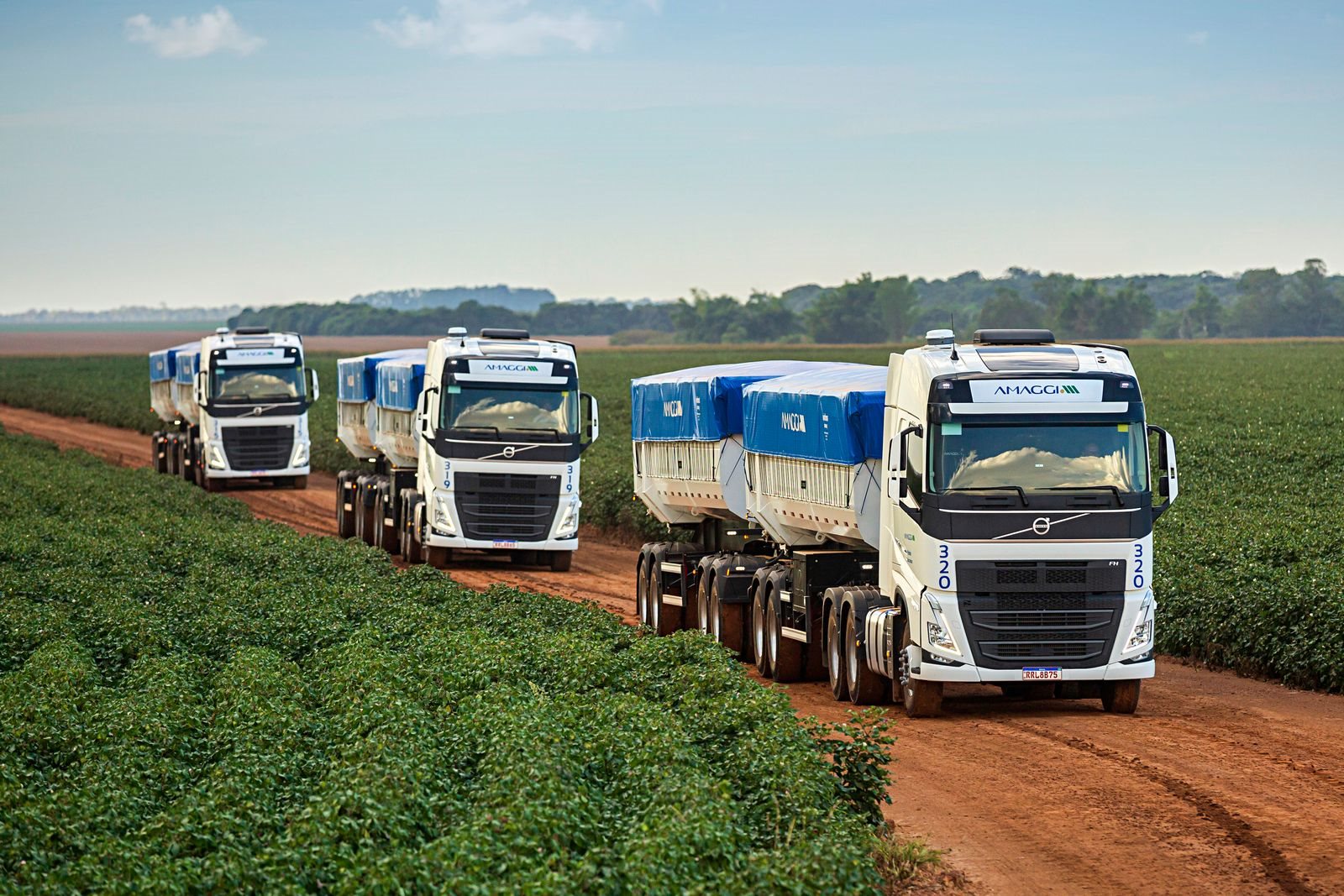 AMAGGI ADQUIRE 440 CAMINHÕES VOLVO PARA O TRANSPORTE DE PRODUTOS AGRÍCOLAS PARA EXPORTAÇÃO, foto 1