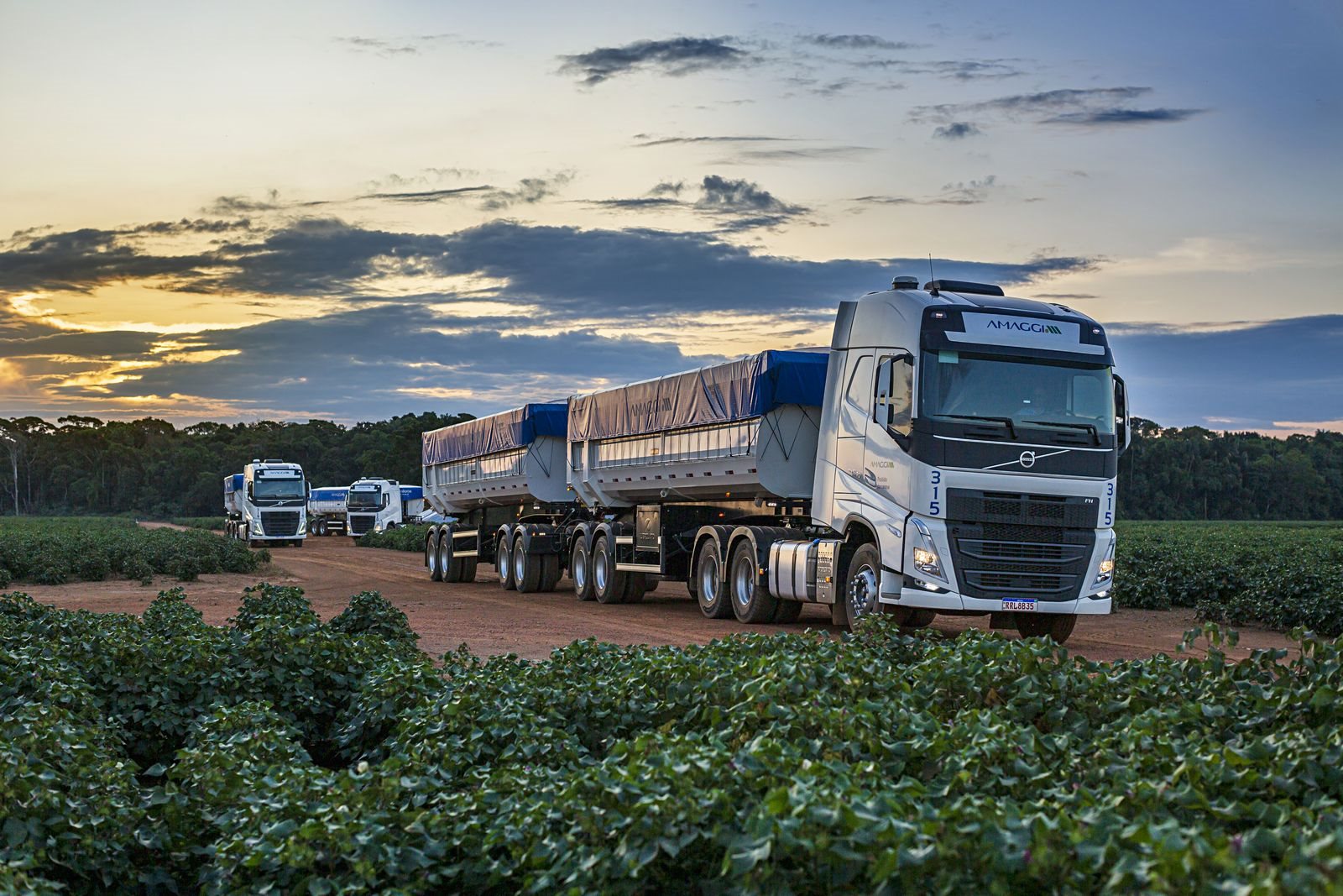 AMAGGI ADQUIRE 440 CAMINHÕES VOLVO PARA O TRANSPORTE DE PRODUTOS AGRÍCOLAS PARA EXPORTAÇÃO, foto 2
