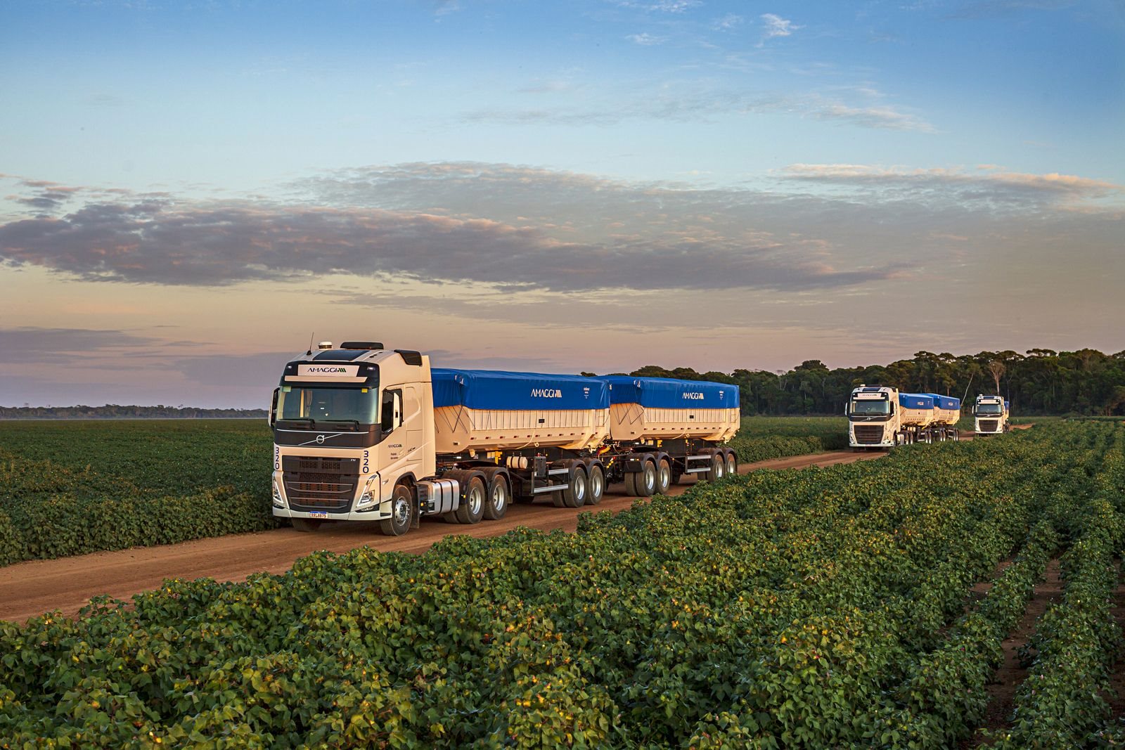 AMAGGI ADQUIRE 440 CAMINHÕES VOLVO PARA O TRANSPORTE DE PRODUTOS AGRÍCOLAS PARA EXPORTAÇÃO, foto 5