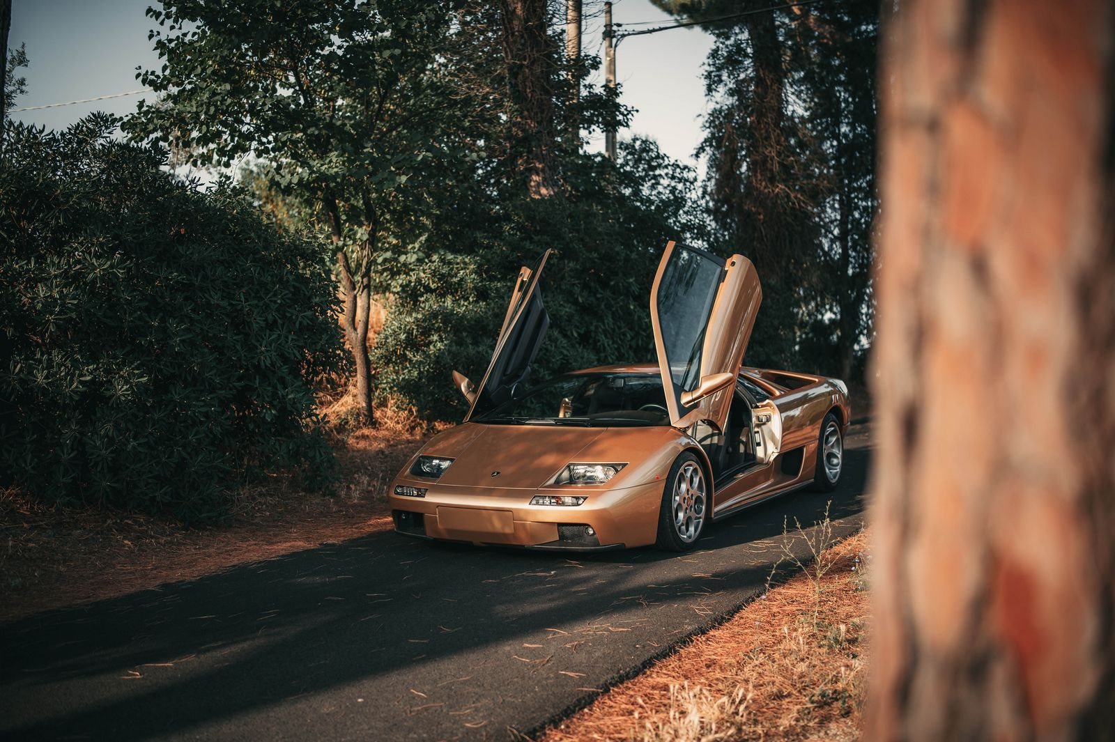 LAMBORGHINI PRESTA HOMENAGEM AO DIABLO E AO SEU MOTOR V12 ASPIRADO NATURALMENTE, foto 6