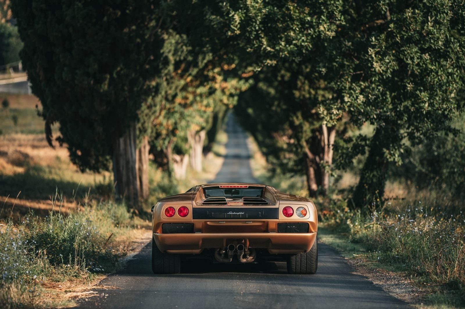 LAMBORGHINI PRESTA HOMENAGEM AO DIABLO E AO SEU MOTOR V12 ASPIRADO NATURALMENTE, foto 24