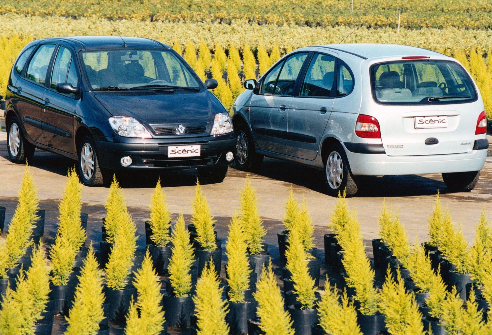 RENAULT SCENIC: 25 ANOS DO INÍCIO DA PRODUÇÃO NO BRASIL, foto 1