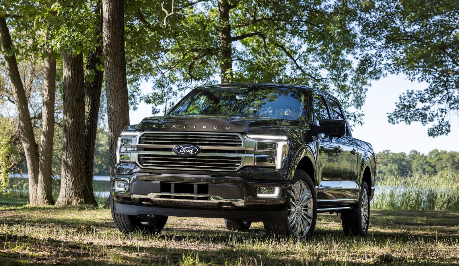 FORD SÉRIE F COMPLETA 47 ANOS COMO PICK-UP MAIS VENDIDA DA AMÉRICA DO NORTE, foto 1