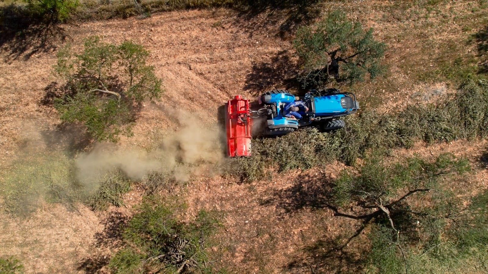 ALGUMAS PEÇAS DO SEU FUTURO AUTOMÓVEL PODERÃO VIR DE OLIVEIRAS, foto 3