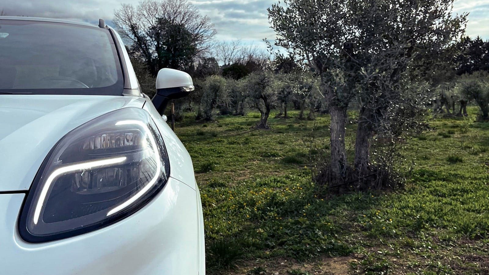 ALGUMAS PEÇAS DO SEU FUTURO AUTOMÓVEL PODERÃO VIR DE OLIVEIRAS, foto 16