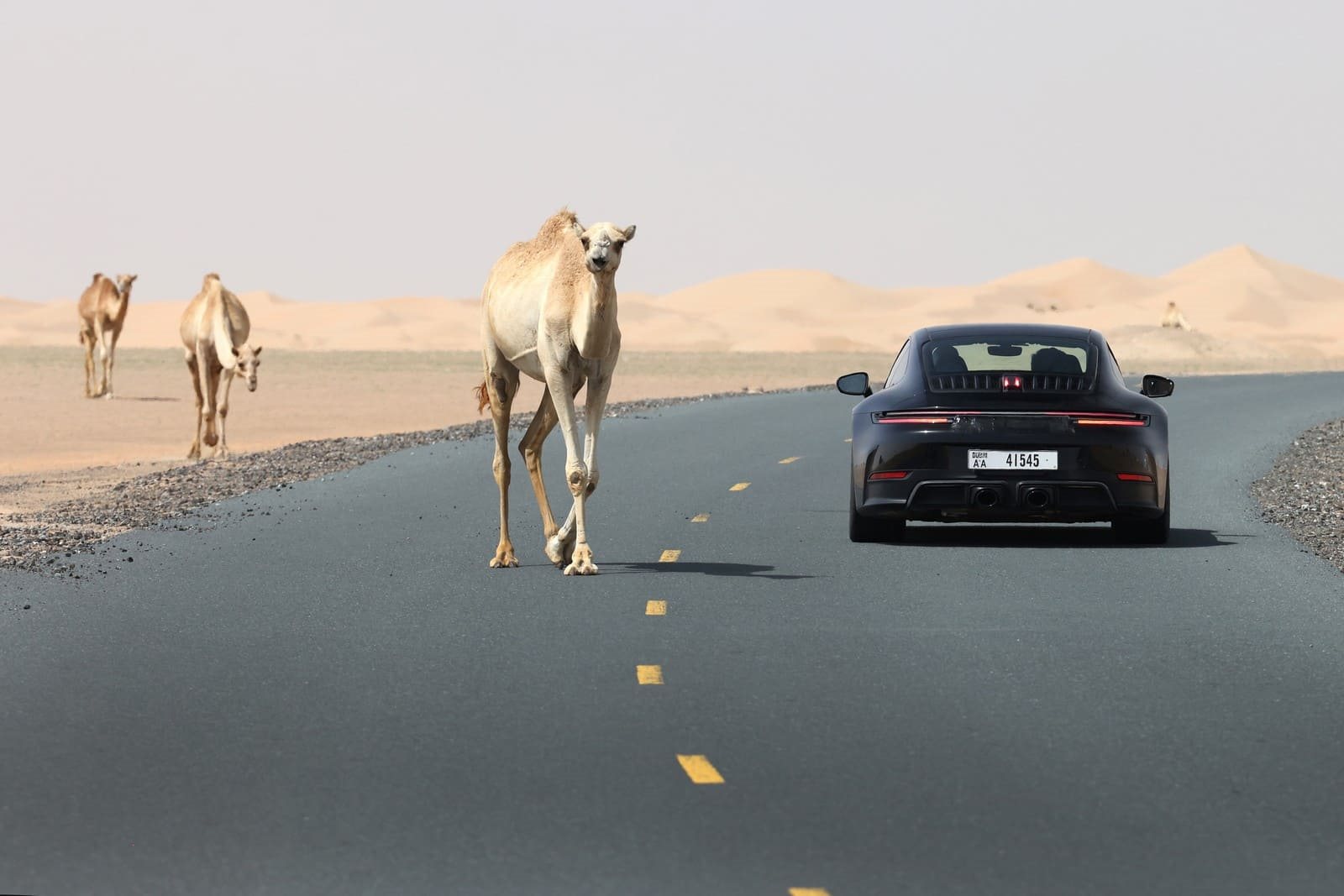 DESENVOLVIMENTO DO PRIMEIRO PORSCHE 911 COM SISTEMA HÍBRIDO É CONCLUÍDO COM SUCESSO, foto 3
