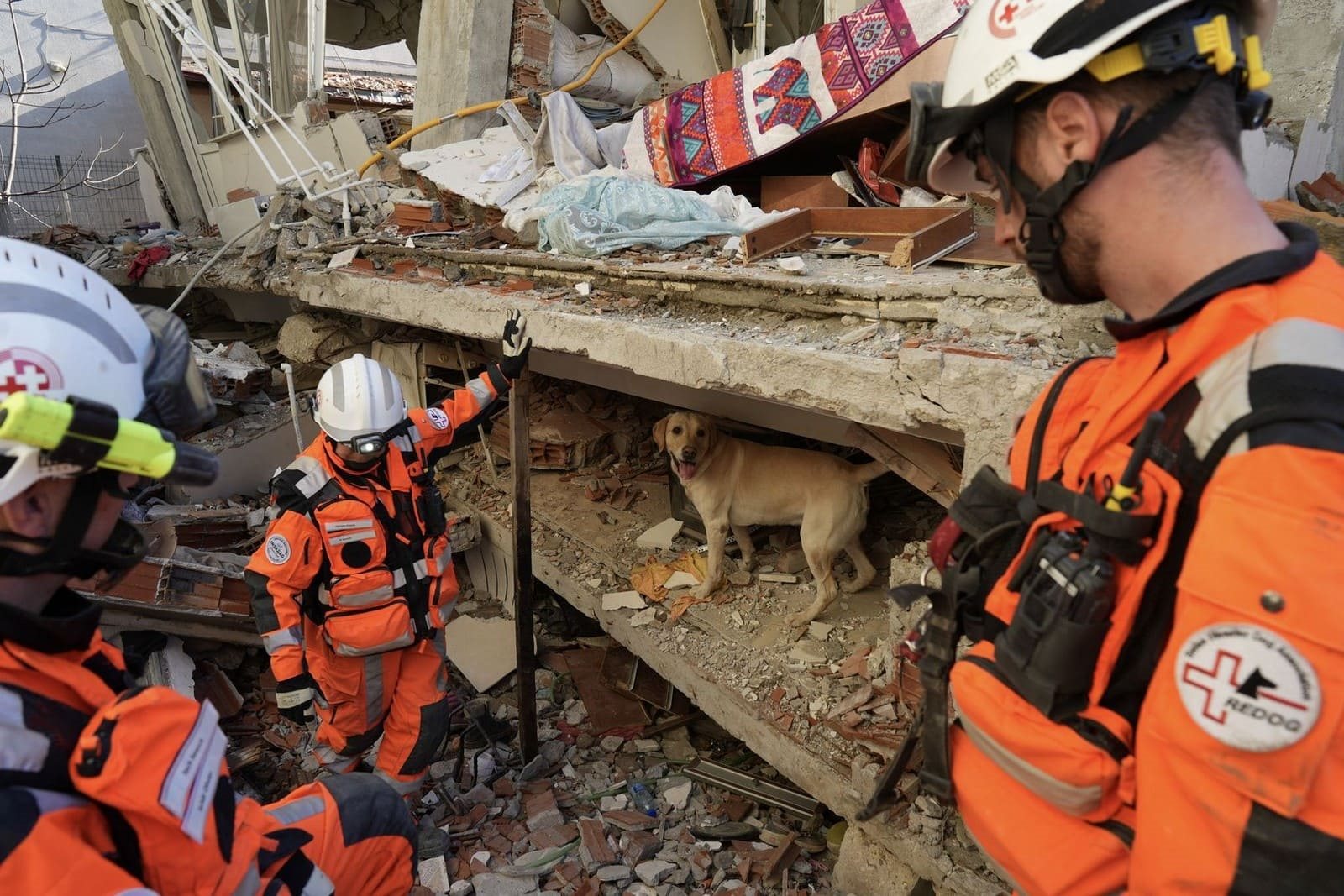 LAND ROVER DEFENDER COMEMORA 70 ANOS DE PARCERIA HUMANITÁRIA MARCANTE COM A CRUZ VERMELHA BRITÂNICA, foto 10