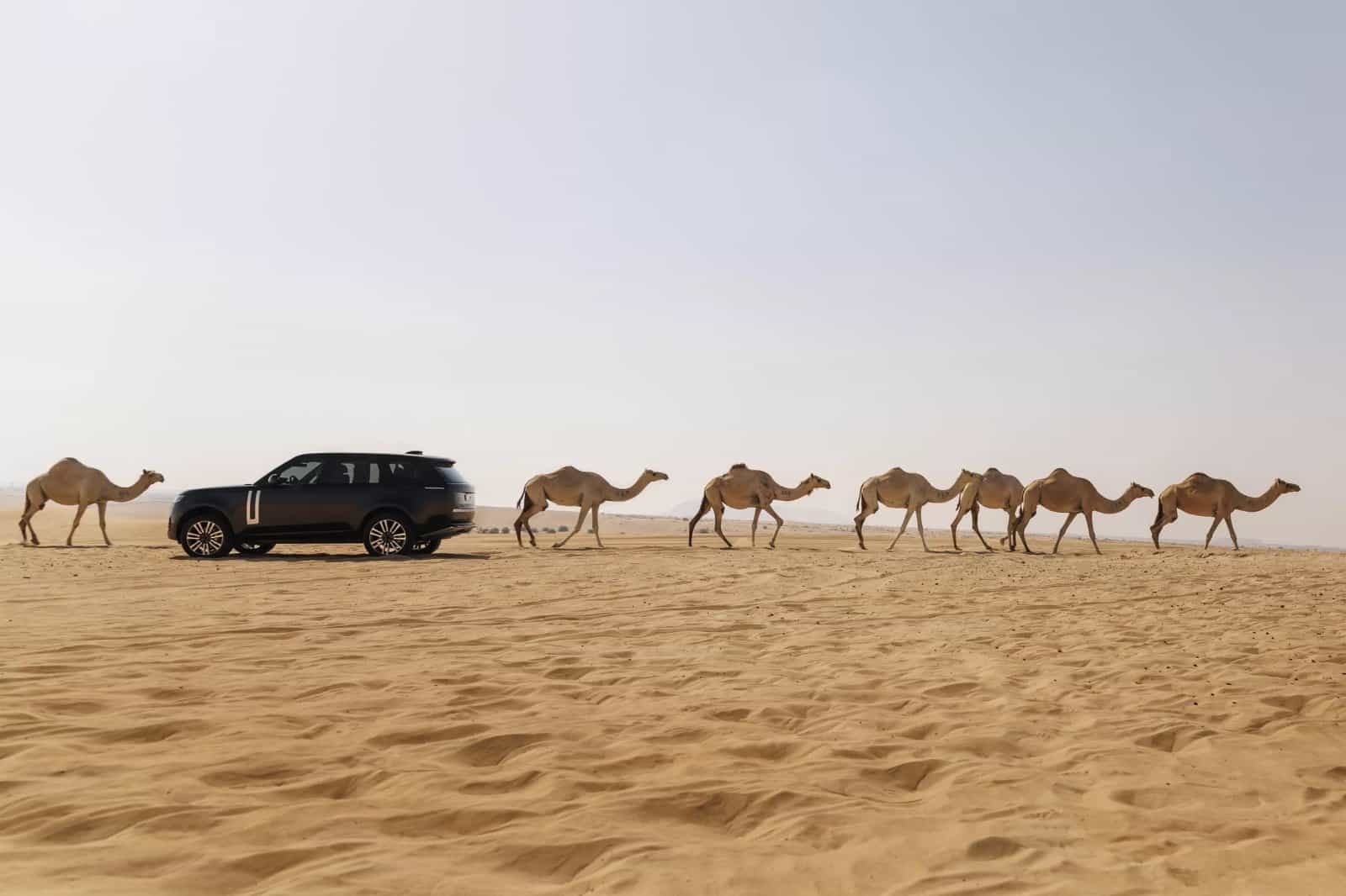 O RANGE ROVER ELÉTRICO JÁ ESTÁ QUASE PRONTO, E ELE É SUPERIOR AO V8, foto 20