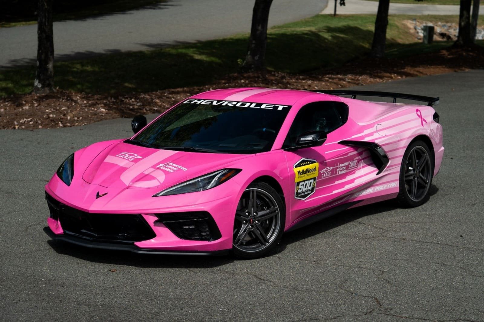 CHEVROLET CORVETTE STINGRAY ROSA NA PISTA - QUANDO VELOCIDADE E SOLIDARIEDADE SE CRUZAM, foto 1