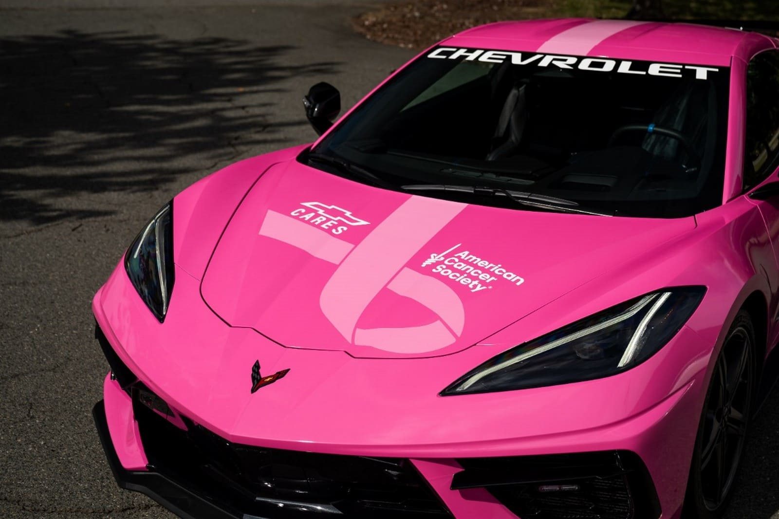 CHEVROLET CORVETTE STINGRAY ROSA NA PISTA - QUANDO VELOCIDADE E SOLIDARIEDADE SE CRUZAM, foto 2