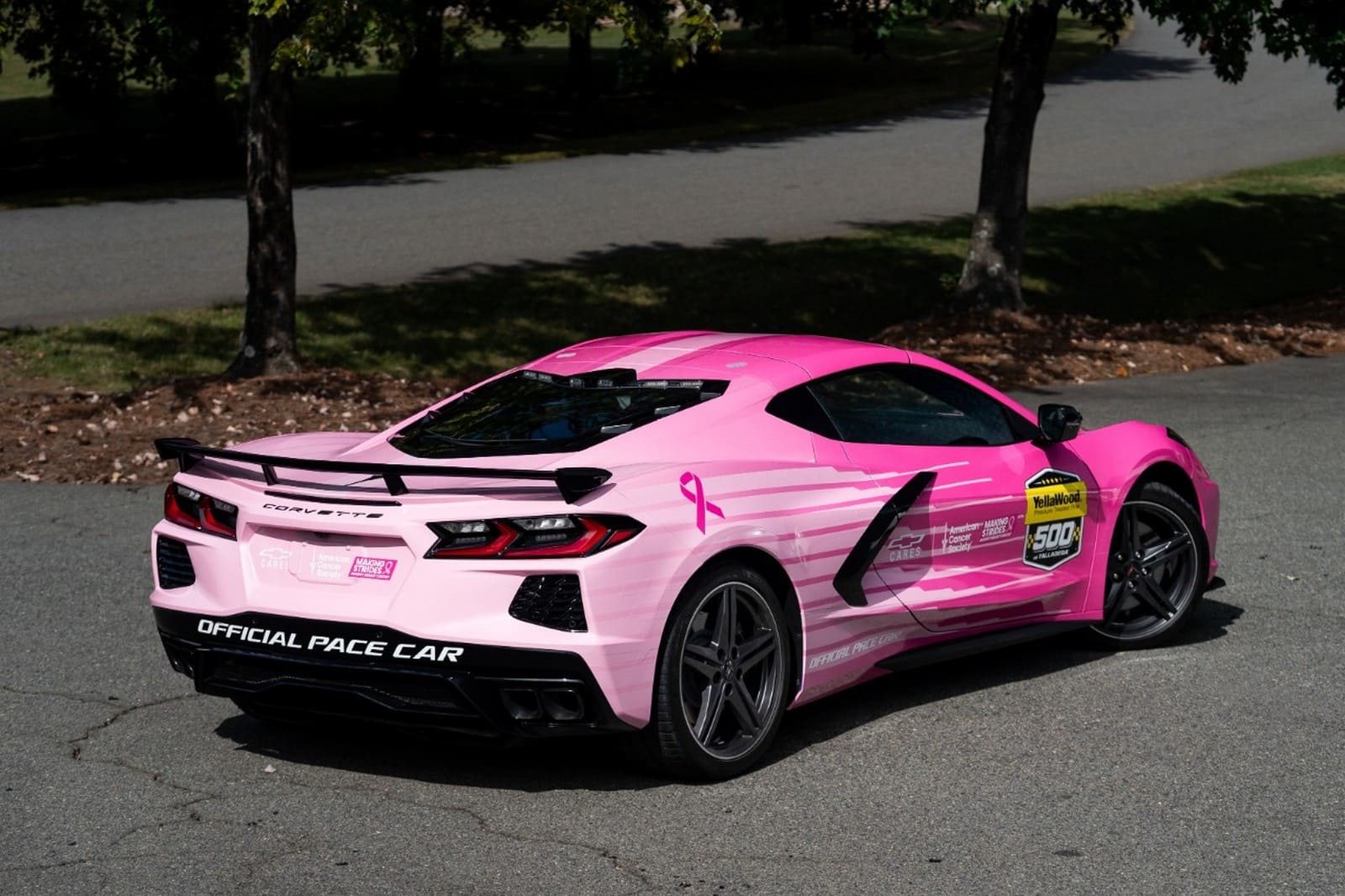 CHEVROLET CORVETTE STINGRAY ROSA NA PISTA - QUANDO VELOCIDADE E SOLIDARIEDADE SE CRUZAM, foto 3