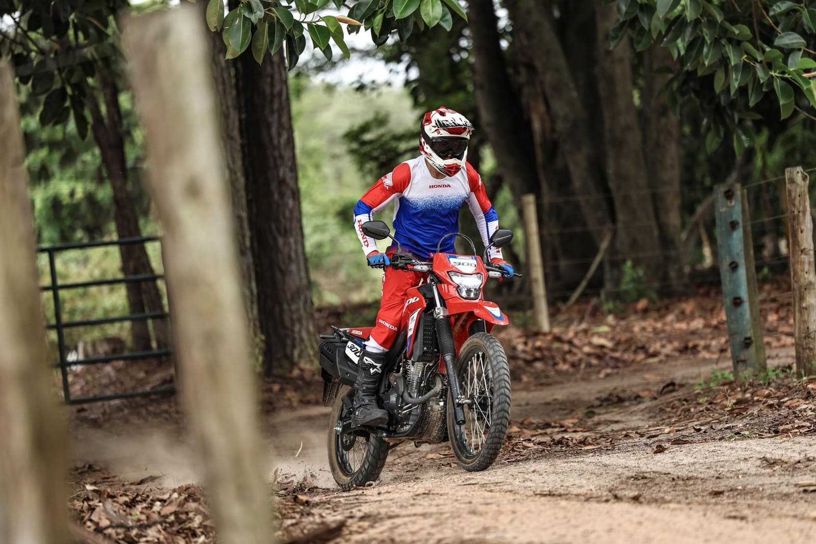HONDA XR300L TORNADO GANHA UMA VERSÃO SPECIAL EDITION, foto 16
